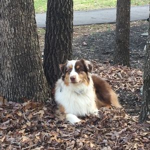 Meet your Posher, Mary